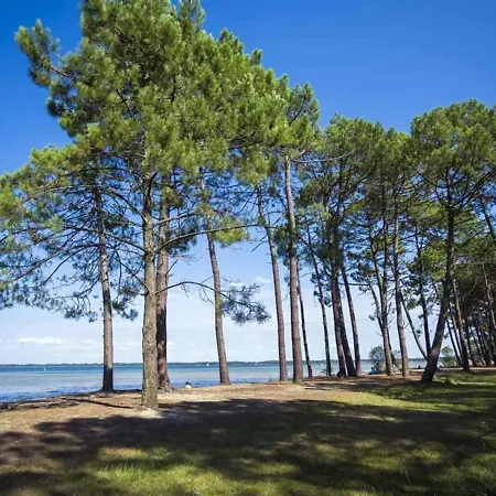 Maison Confortable Avec Clim, Terrasse Et Jardin - 6 Pers, Proche Et Plages - Fr-1-319-425 Parentis-en-Born
