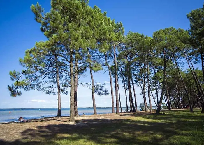 Maison Confortable Avec Clim, Terrasse Et Jardin - 6 Pers, Proche Et Plages - Fr-1-319-425 Parentis-en-Born