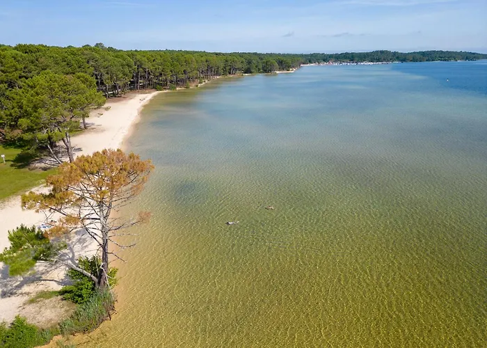 Maison Confortable Avec Clim, Terrasse Et Jardin - 6 Pers, Proche Et Plages - Fr-1-319-425 * Parentis-en-Born